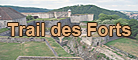icone_tdf